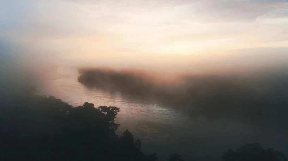 Misty river winding through forested landscape at dawn, dense trees lining both banks, soft muted colors.